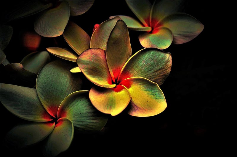 Mindfulness Meditation